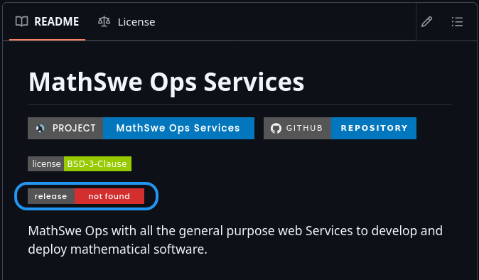 Ms Ops Services: Before Initial Release